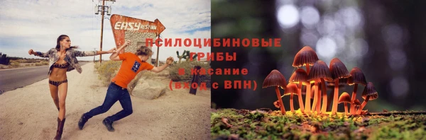 spice Верхний Тагил