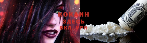 spice Верхний Тагил
