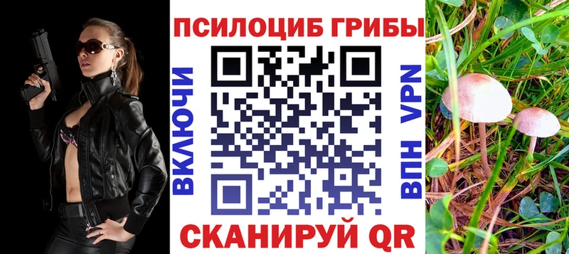 Галлюциногенные грибы прущие грибы  Купить закладки  Вятские Поляны 